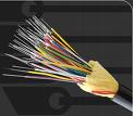 Fiber Packet