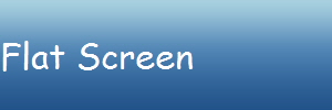 Flat Screen